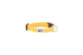 RC Pets Petite Clip Collar Primary 1/2