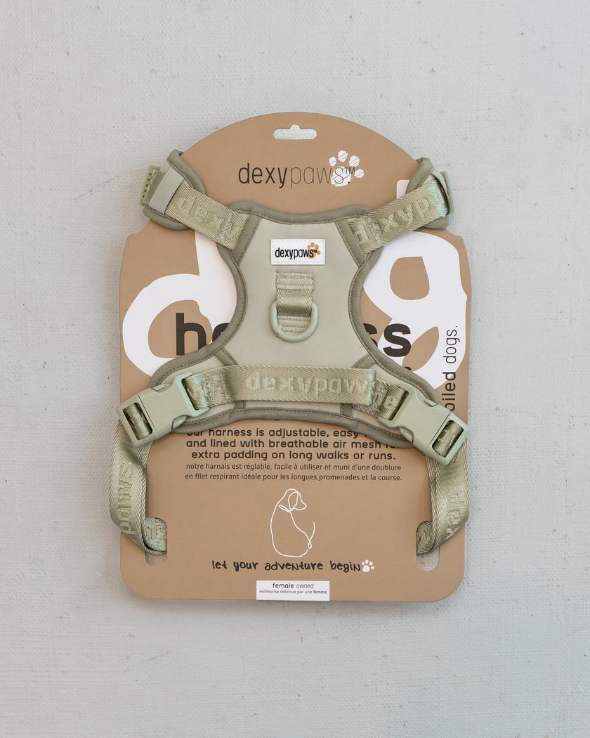 DexyPaws No-Pull Dog Harness green