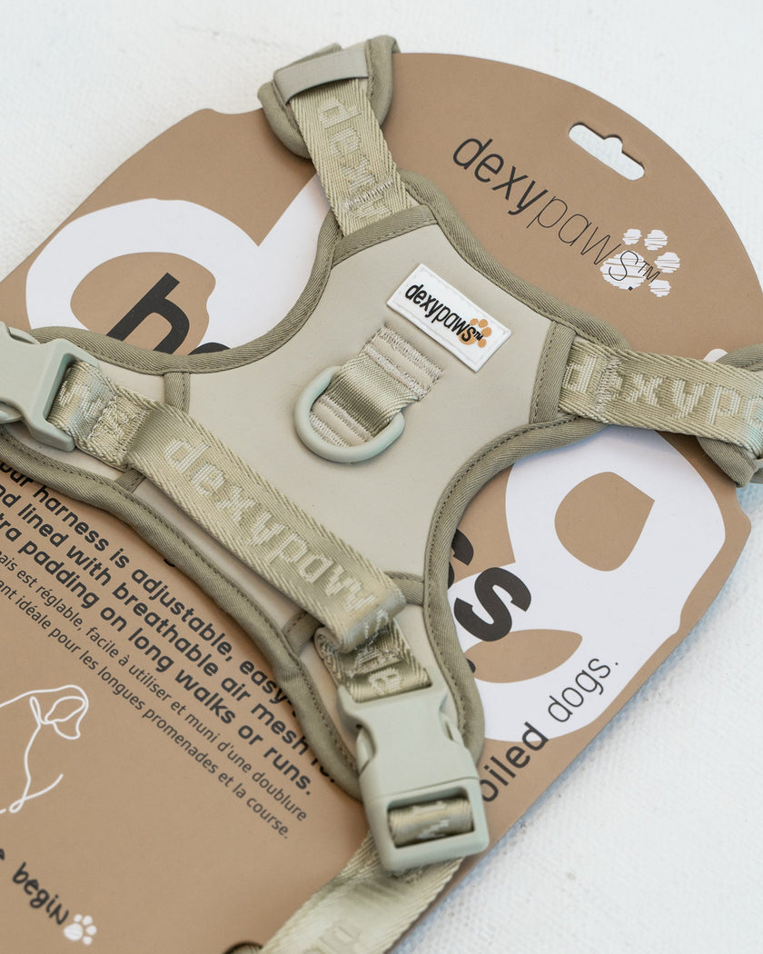 DexyPaws No-Pull Dog Harness green