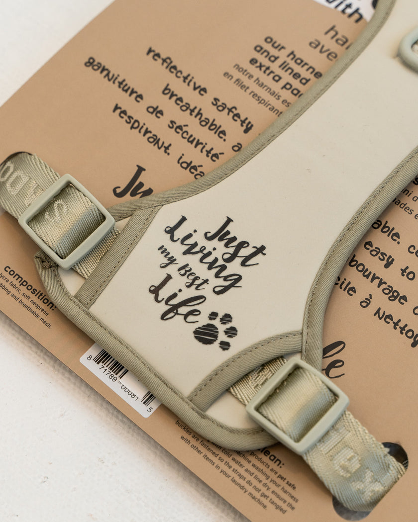 DexyPaws No-Pull Dog Harness green