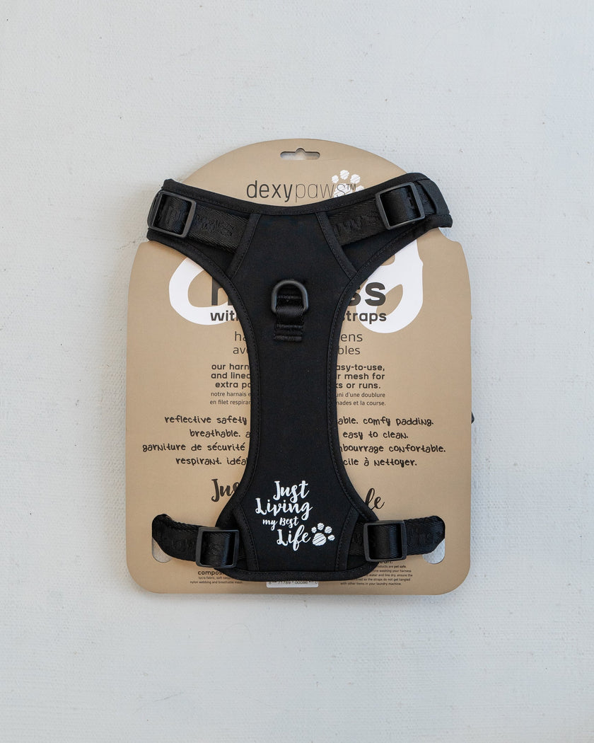 DexyPaws No-Pull Dog Harness black