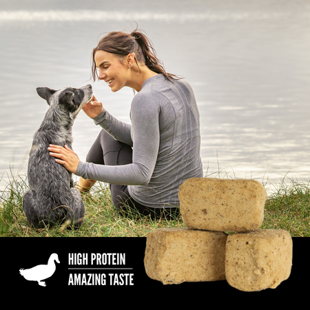Freeze Dried Dog Treats