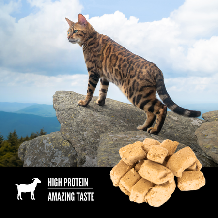 Orijen Freeze Dried Cat Treats - Tundra Recipe (35g/1.25oz)