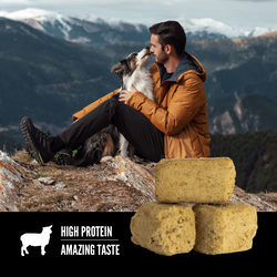Freeze Dried Dog Treats
