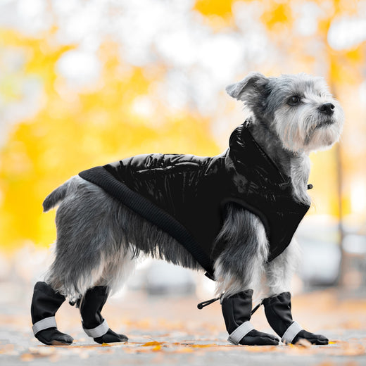 Soft Shield Dog Boots Black