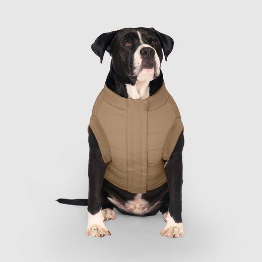 Canada Pooch Dog Puffer Jacket Tan