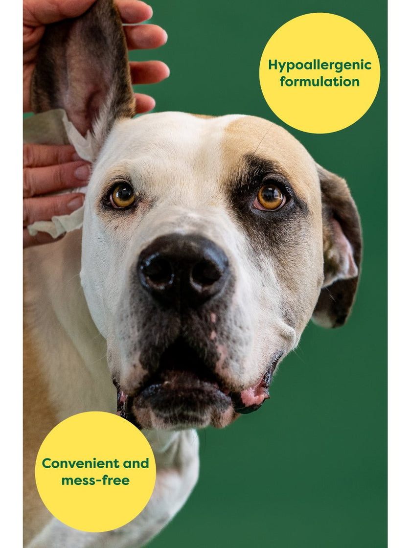 Earth Rated Oatmeal Scented Dog Ear Wipes