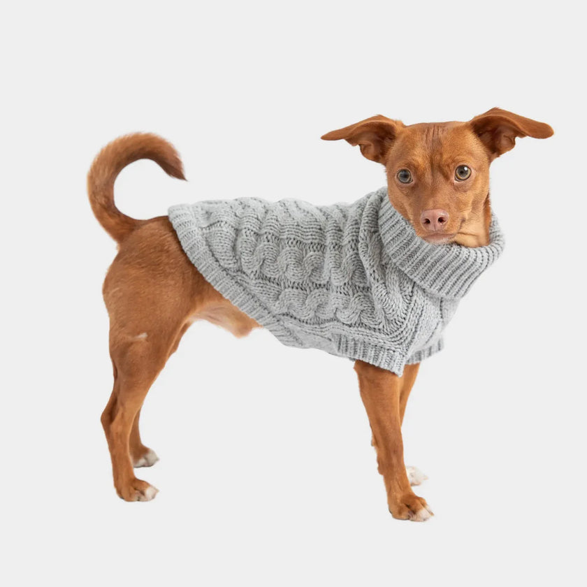 small dog wearing chunky cable knit sweater by GF PET® with a high turtleneck and ribbed armholes.