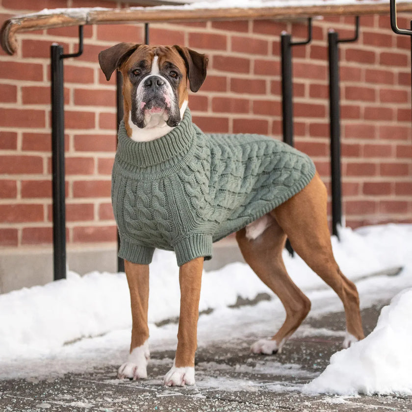 Dog in GF PET® Chalet Sweater, showcasing the superior fit with sculpted body shape and ribbed arm holes.