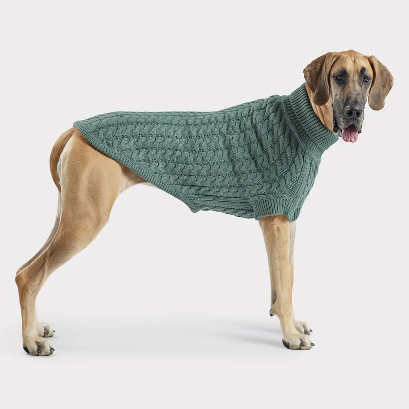 Dog in GF PET® Chalet Sweater, showcasing the superior side fit with sculpted body shape and ribbed arm holes.