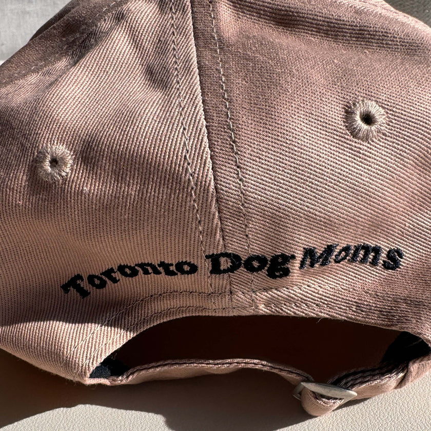 Dogs, Iced Coffee & Mental Health Dad Hat