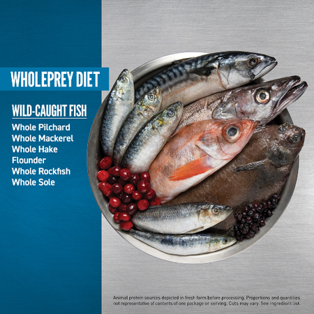 Orijen Six Fish Dog Food Recipe