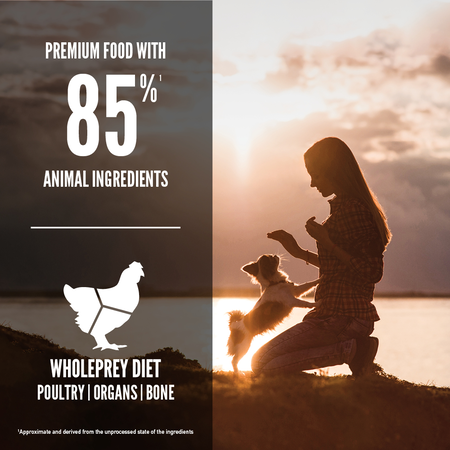 Orijen Small Breed Dog food ingredients