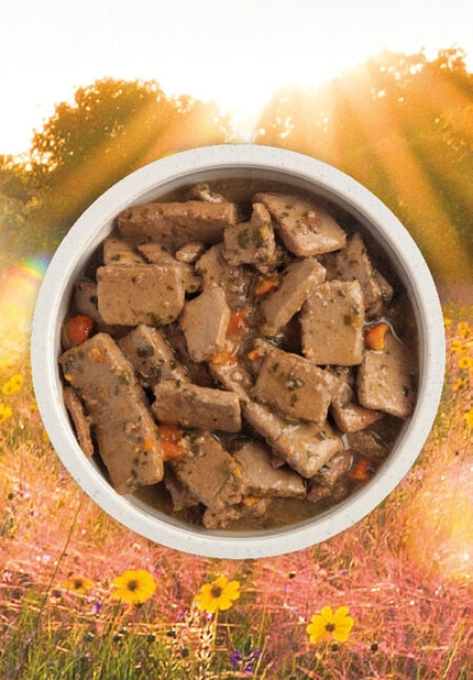 Acana Premium Chunks in Bone Broth - Beef Recipe (12.8oz/363g)