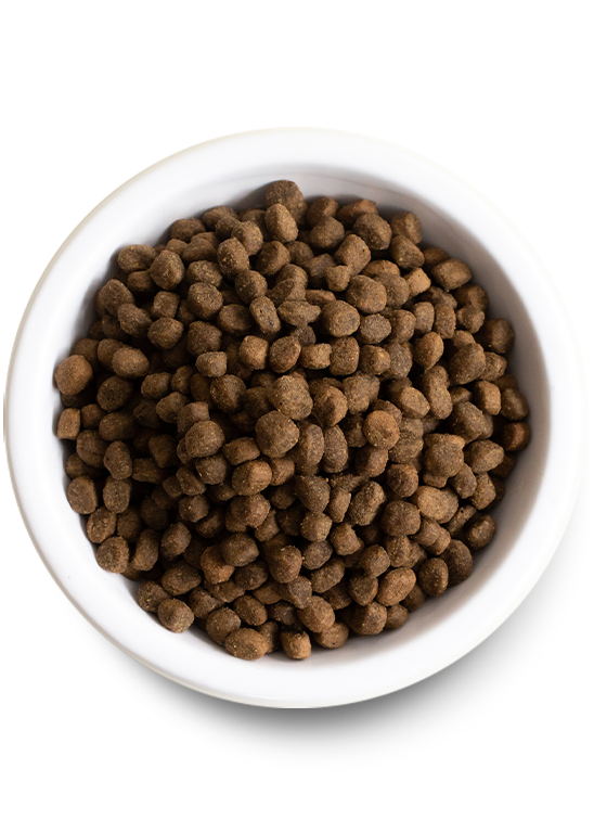 Open Farm Whitefish Kibble