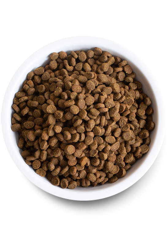 Open Farm Whitefish Dry Food for Cats Kibble