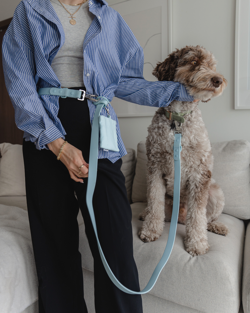 DexyPaws Hands Free Waterproof Leash blue