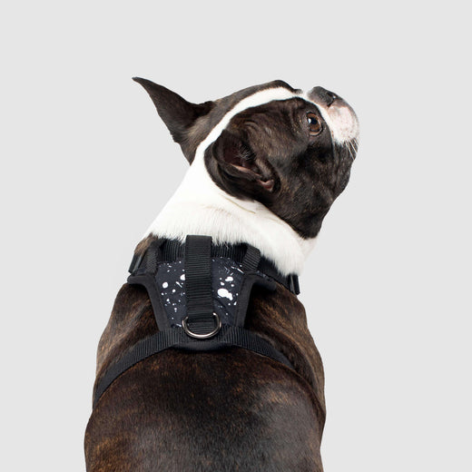 Canada Pooch Dog Harness