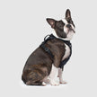 Canada Pooch Dog Harness