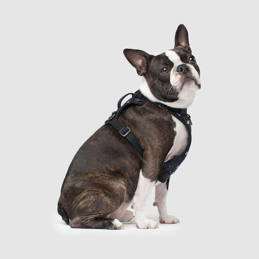 Canada Pooch Dog Harness