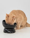 Dexypaws Raised Ceramic Cat Bowl - Black - 7oz
