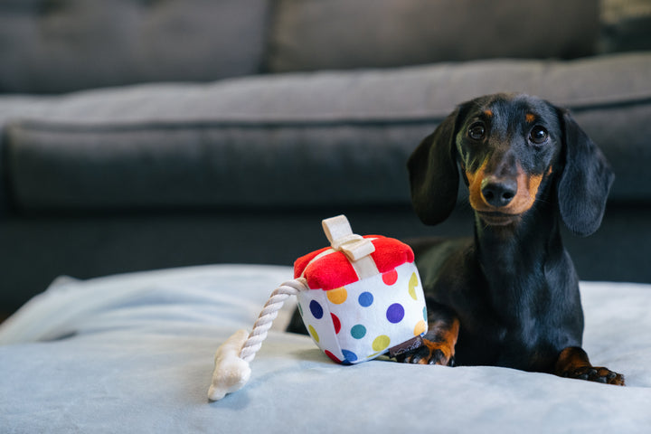 Mini Pawfect Present Toy