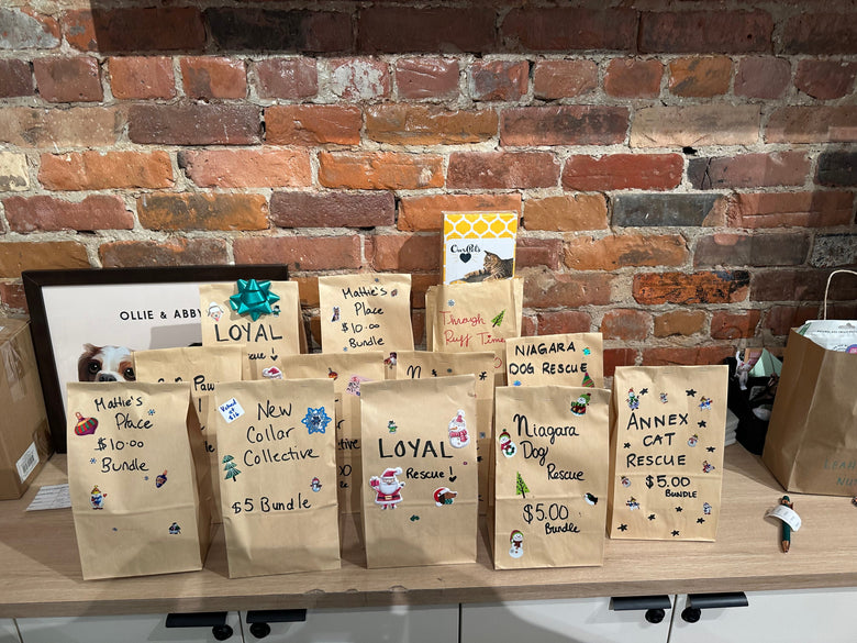 Give Back Bags