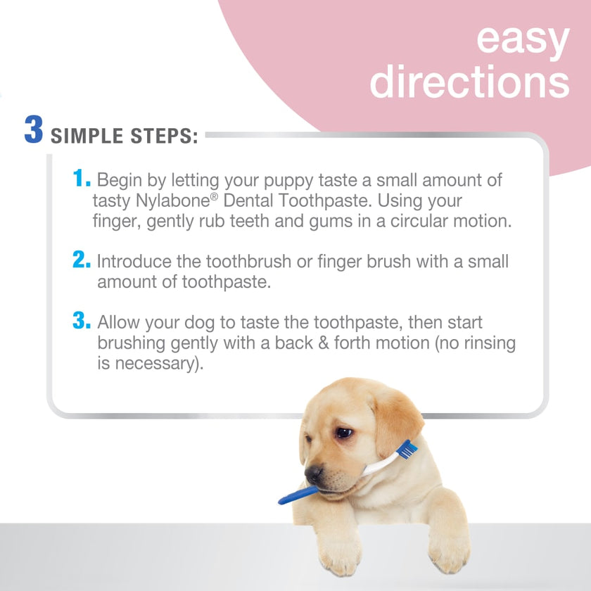 Nylabone Advanced Oral Care directions