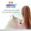 Nylabone Advanced Oral Care Puppy Dental Kit