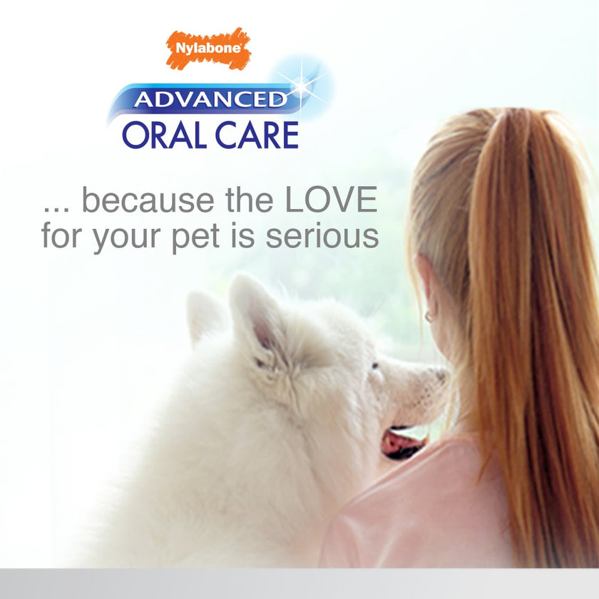 Nylabone Advanced Oral Care