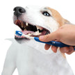 Nylabone Advanced Oral Care Puppy Dental Kit