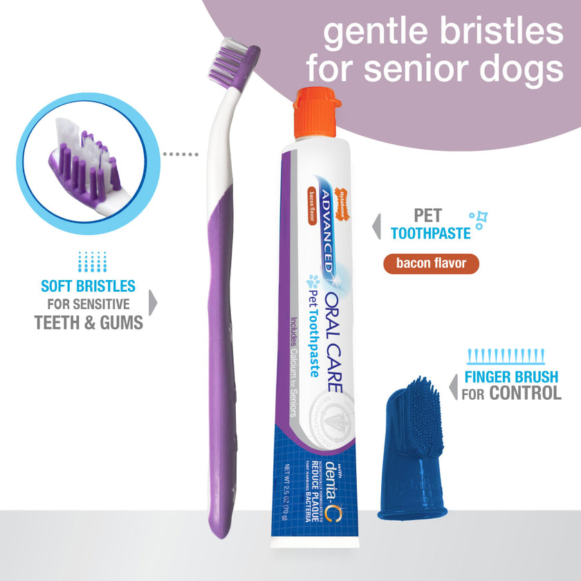 Nylabone Advanced Oral Care Senior Dog Dental Kit 