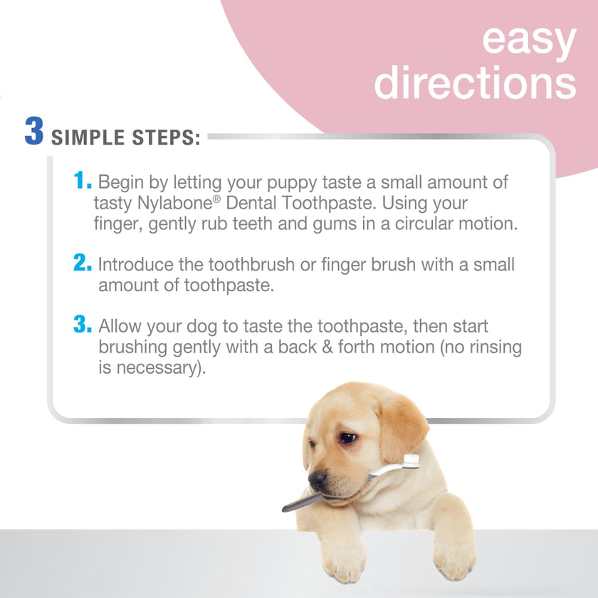 Oral Care Dental Kit directions