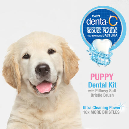 Oral Care Dental Kit 