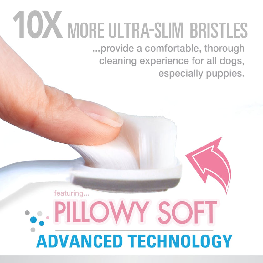 Oral Care Dental Kit 