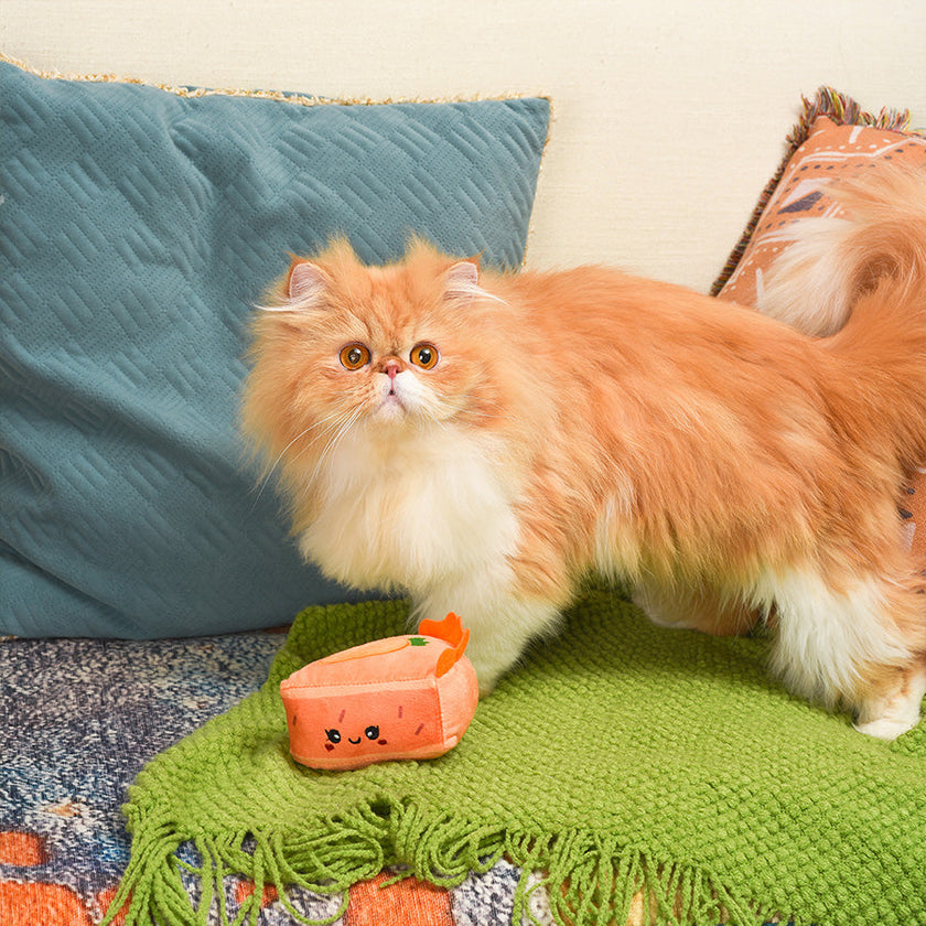 Hugsmart Meow Buddies Kitten Party - Carrot Cake