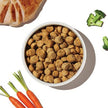 The Honest Kitchen Whole Food Clusters - Grain Free Chicken Recipe (20lb)