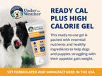 Under the Weather High Calorie Recovery Gel for Dogs - Appetite Support with Electrolytes (Ready Cal Plus)
