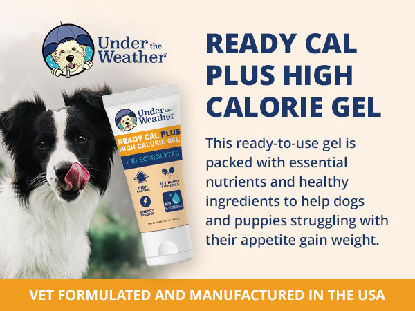 Under the Weather High Calorie Recovery Gel for Dogs - Appetite Support with Electrolytes (Ready Cal Plus)