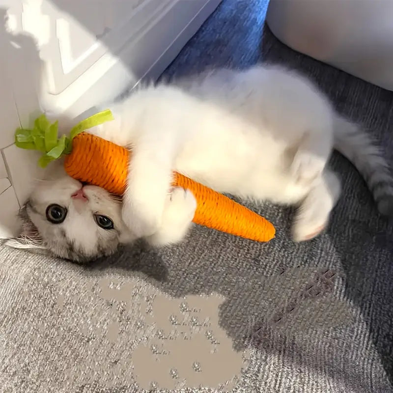 Carrot Jingle Cat Toy