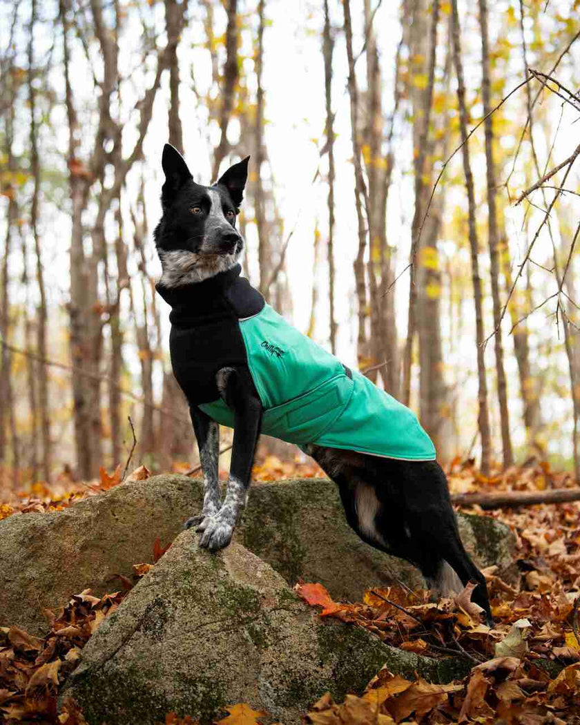 Great White North coat in Jade worn by Spectre.