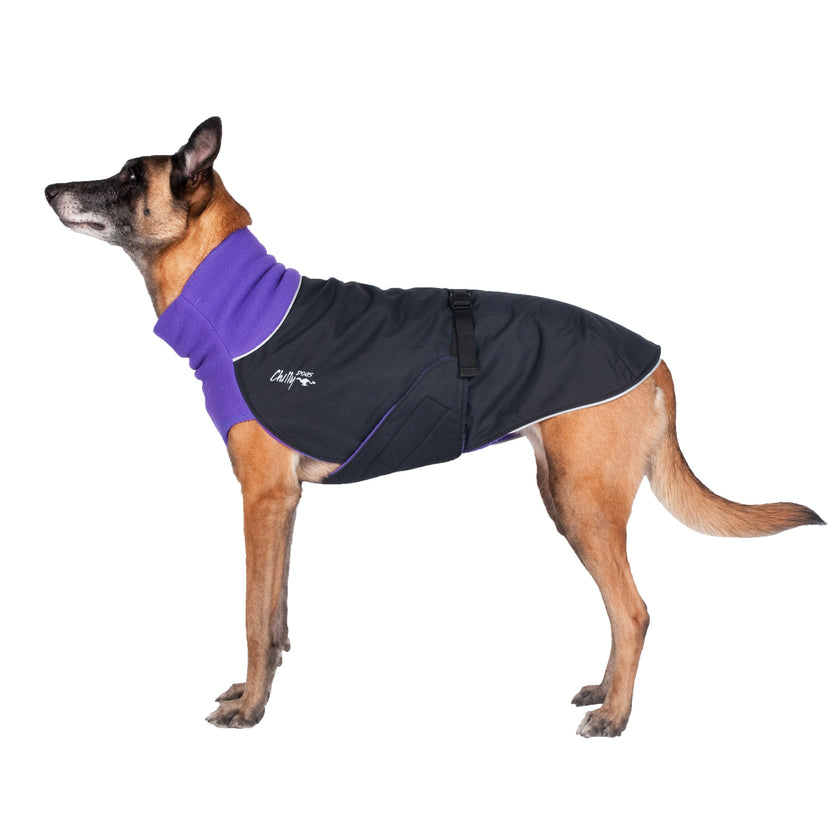 Chilly Dogs - Great White North Winter Dog Coat