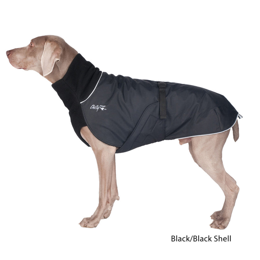 Weimaraner wearing the Great White North coat in Black