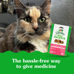 FELINE GREENIES™ PILL POCKETS™ Adult Salmon Flavour