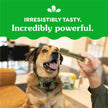 GREENIES™ Original