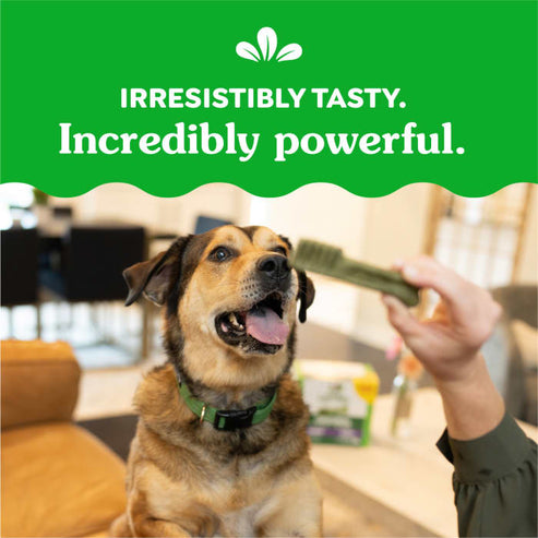 GREENIES™ Original