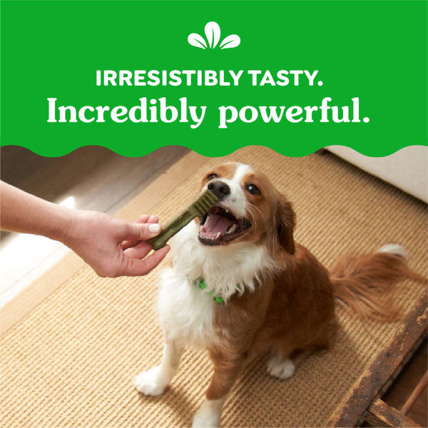 GREENIES™ Original Natural Dental Dog Treats