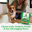 GREENIES™ Original Petite Natural Dental Dog Treats