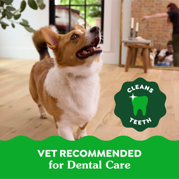 GREENIES™ Original Natural Dental Dog Treats
