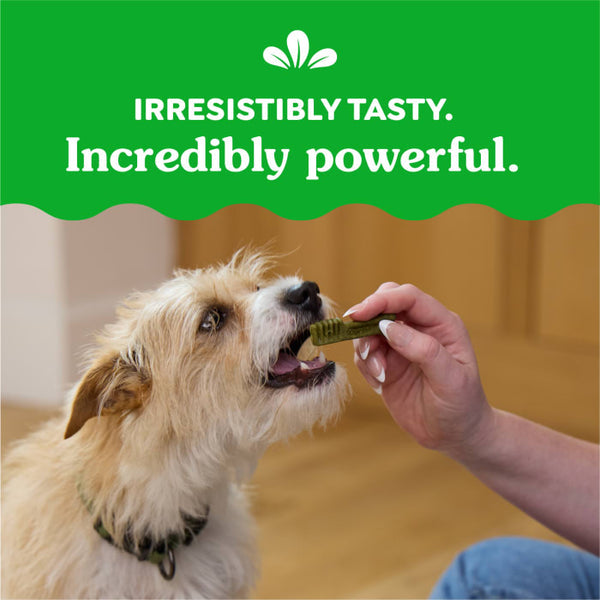 GREENIES™ Original Natural Dental Dog Treats